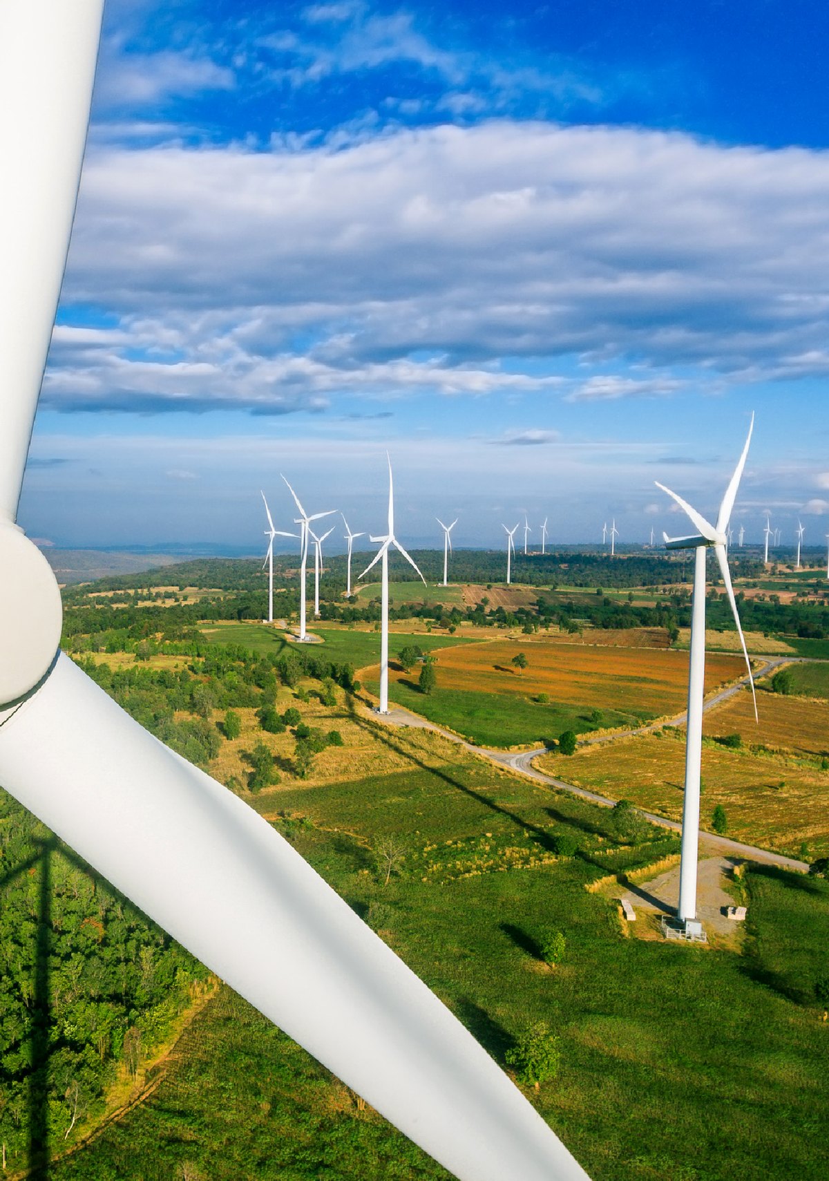 Wind farm renewable energy infrastructure